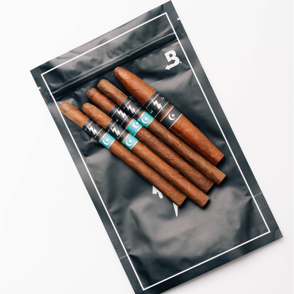 CLUB NOCTURNAL TEAL & BLACK LE