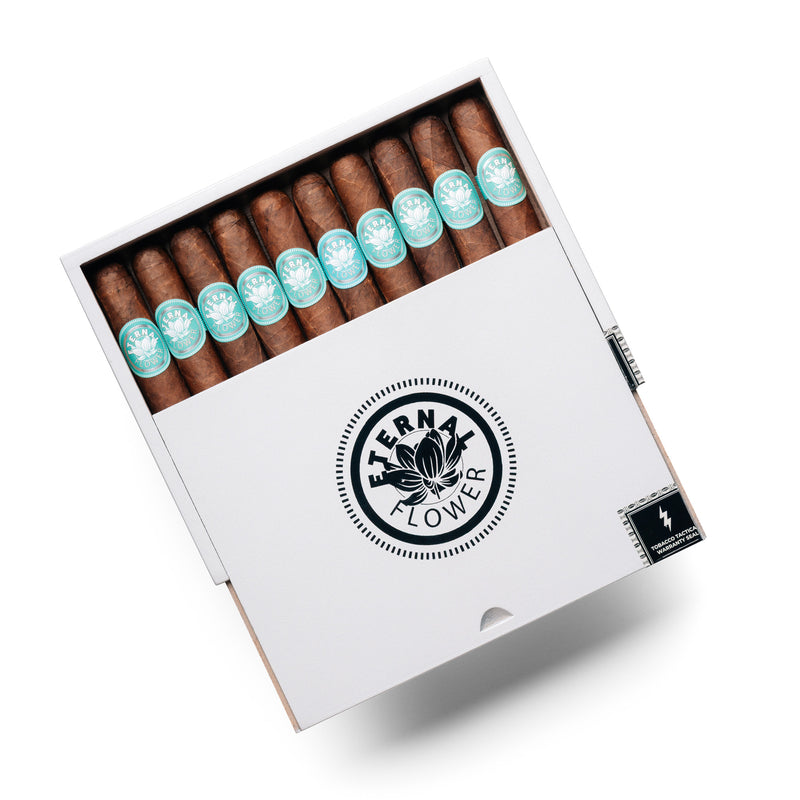 ETERNAL FLOWER X TT LIMITED EDITION 2026