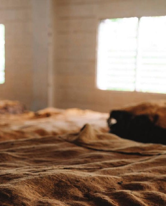 Tobacco bales resting inside an aging warehouse